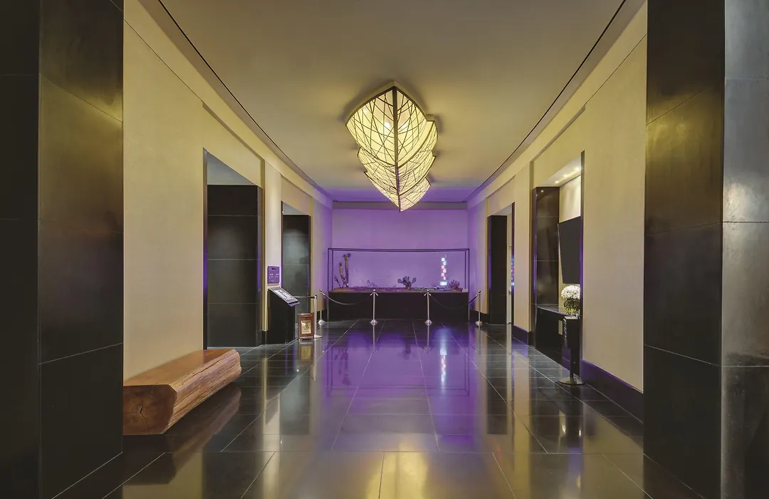 Delano Las Vegas by Suiteness-1
